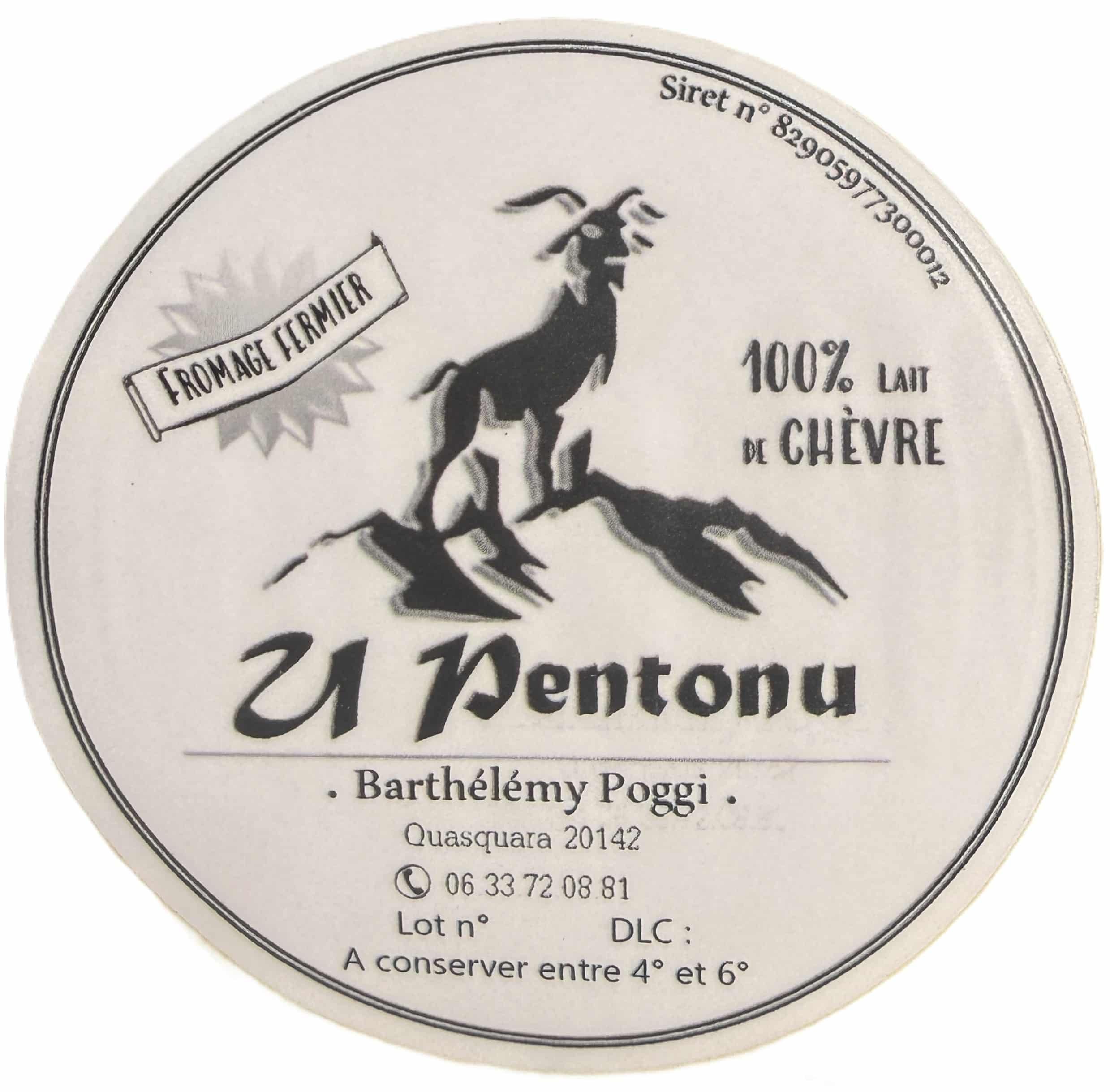 logo B Poggi